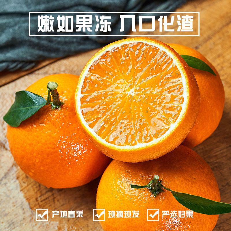 105965-四川丹棱爱媛果冻橙皮薄无籽酸甜多汁化渣 新鲜时令水果5斤10斤-详情图