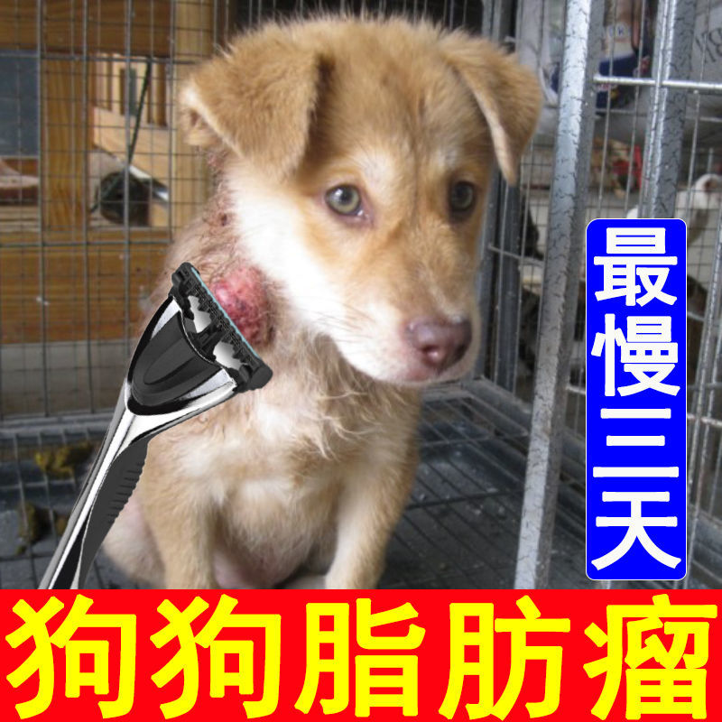 狗狗脂肪瘤去老年犬肥胖犬硬块鼓包良性恶性脂肪瘤宠物化瘤药膏 拼多多超惠优惠商城 大额商品优惠券 超高商品折扣