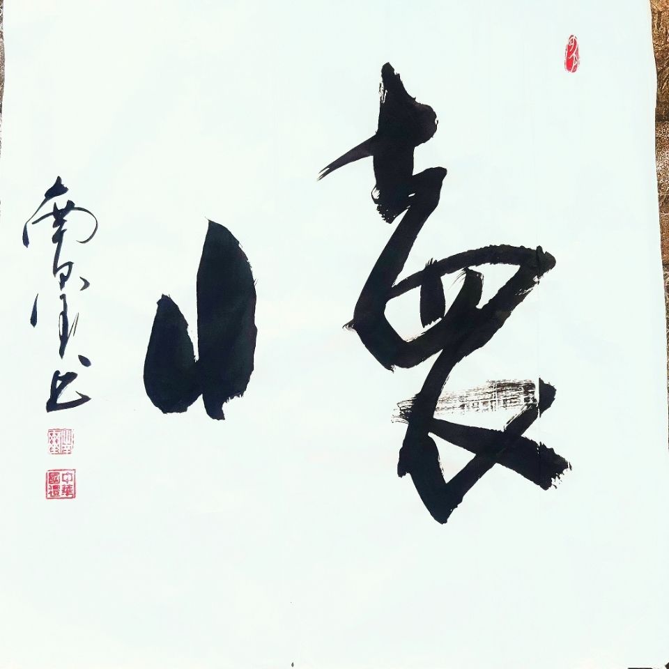 【怀】字四尺斗方南玺书法真迹寓意虚怀若谷心怀感知做人要有胸怀