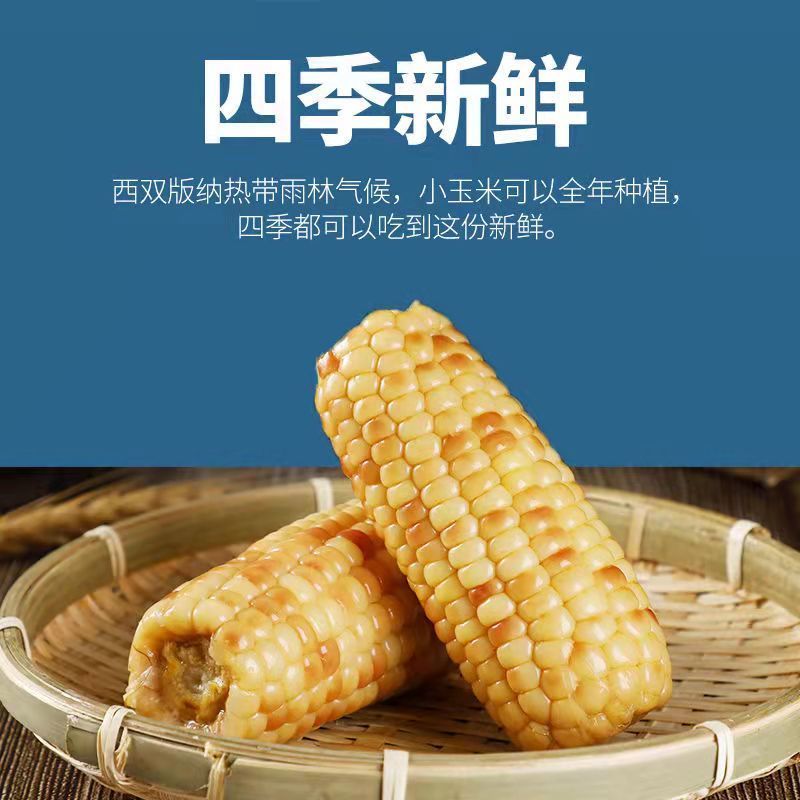 105878-云南版纳当季花糯玉米新鲜糯玉米真空包装即食减脂玉米整件批发【11月30日发完】-详情图