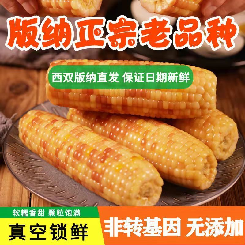 105878-云南版纳当季花糯玉米新鲜糯玉米真空包装即食减脂玉米整件批发【11月30日发完】-详情图
