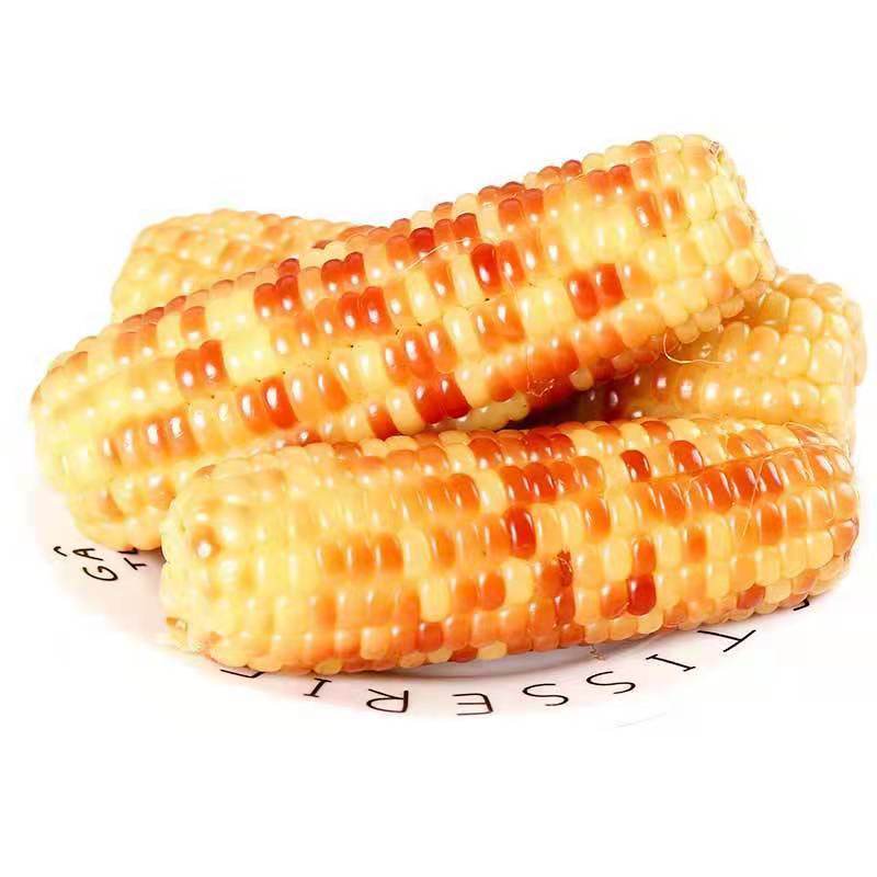 105878-云南版纳当季花糯玉米新鲜糯玉米真空包装即食减脂玉米整件批发【11月30日发完】-详情图