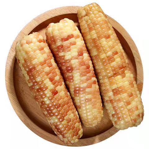 105878-云南版纳当季花糯玉米新鲜糯玉米真空包装即食减脂玉米整件批发【11月30日发完】-详情图