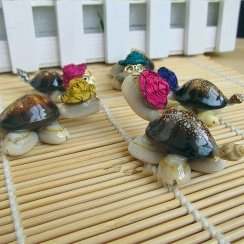 海螺贝壳小乌龟创意小摆件眼镜龟旅游景区节日纪念品礼品多色混发