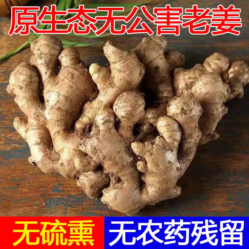 105947-【源头特价】生姜批发价5斤老姜新鲜姜山东大姜10斤优质老姜王2斤-详情图