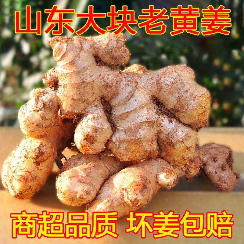 105947-【源头特价】生姜批发价5斤老姜新鲜姜山东大姜10斤优质老姜王2斤-详情图
