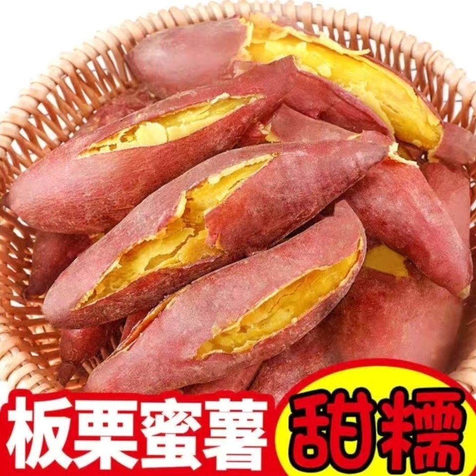 105844-【黄心】红薯新鲜沙地糖心红薯软糯香甜蜜农家自种薯板栗番薯-详情图