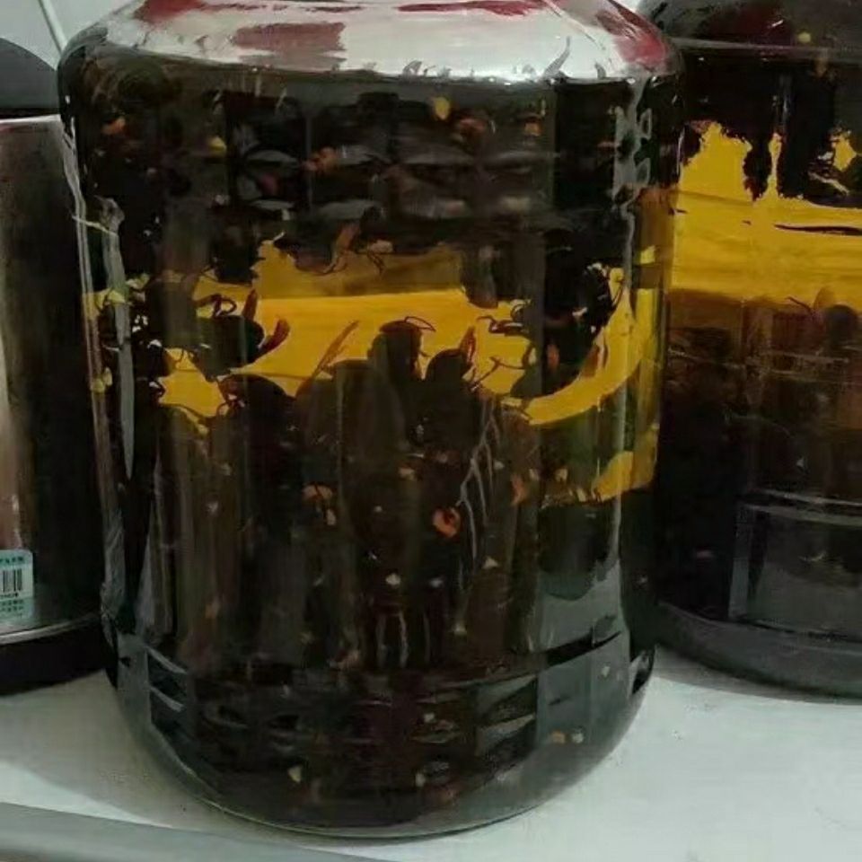5斤装野生虎头蜂酒马蜂酒胡蜂酒活体蜂王自泡制送礼礼品酒瓶装
