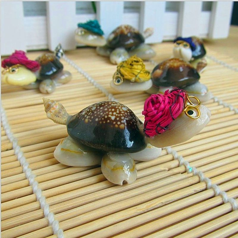 海螺贝壳小乌龟创意小摆件眼镜龟旅游景区节日纪念品礼品多色混发