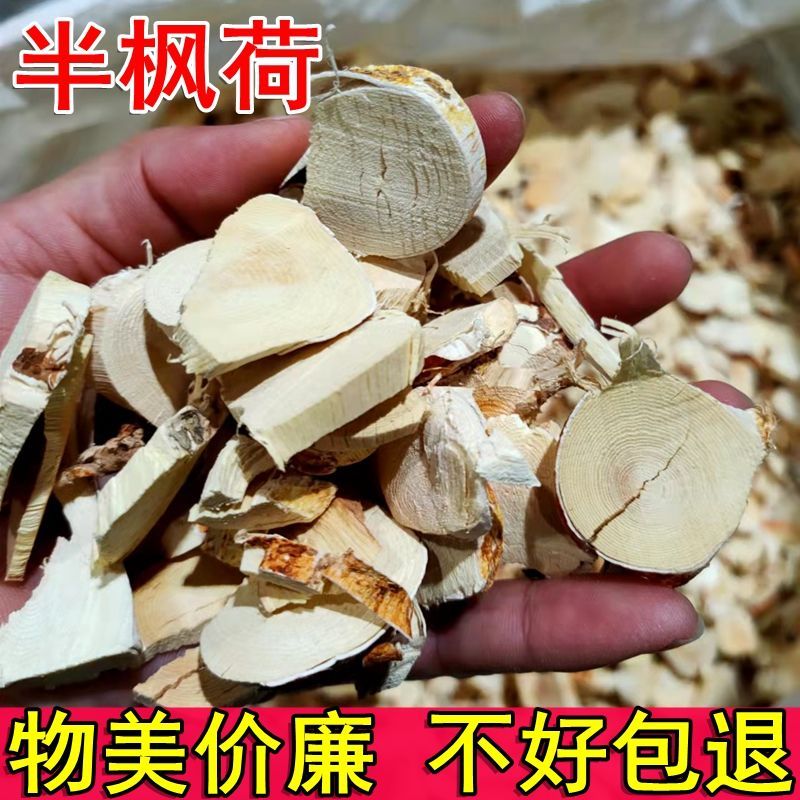 中药材半枫荷根 半边枫荷包邮枫荷桂 翻白叶树500阴阳