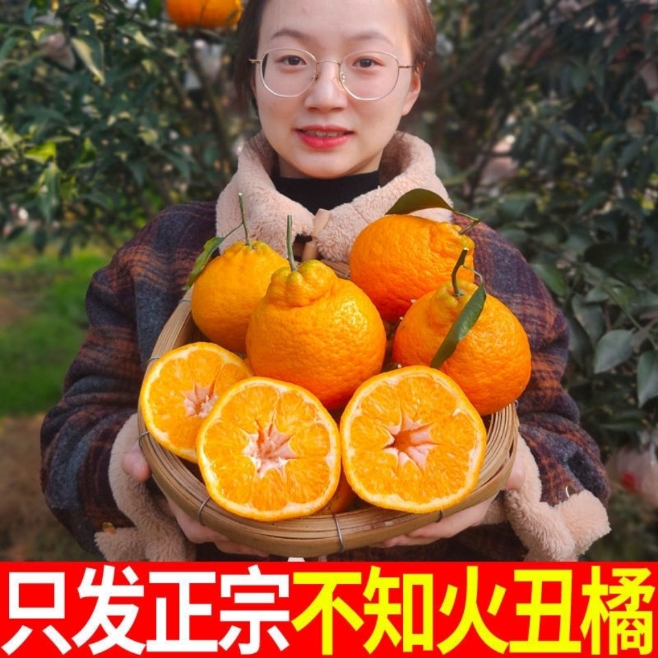 105776-现摘四川正宗不知火丑橘3/5/9斤丑八怪丑橘非耙耙柑蜜橘整箱包邮-详情图