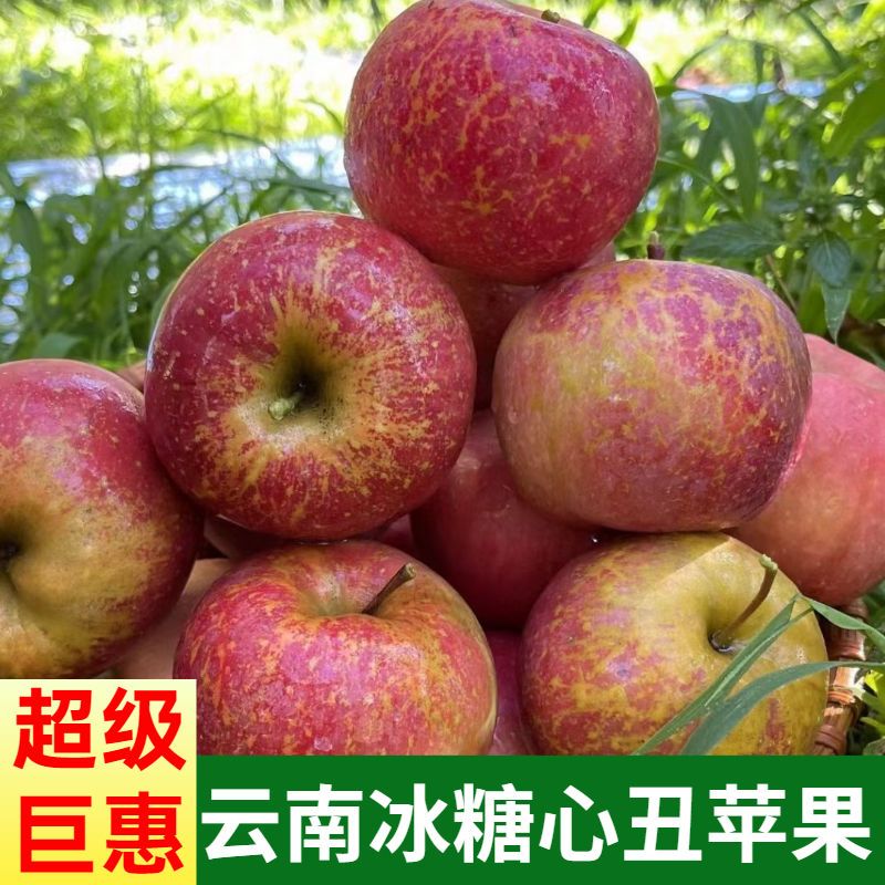 昭通冰糖心丑苹果水果云南苹果新鲜5斤现摘整箱9斤邵通红富士脆甜