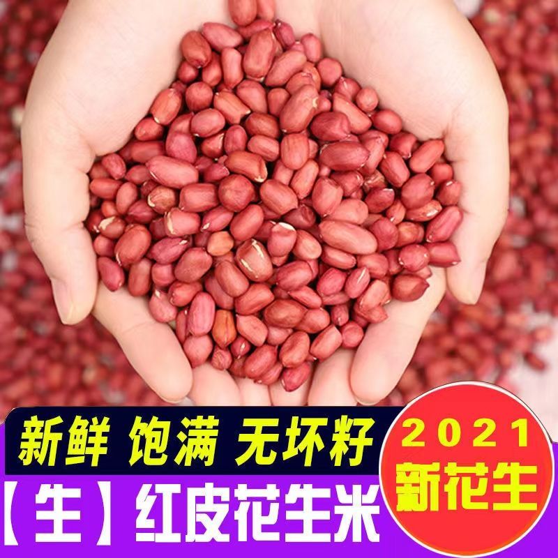 现剥新货特价精选无壳白沙花生米粉皮新鲜红皮生花生米250克5斤