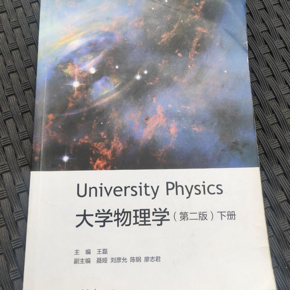 大学物理学(第二版)下册主编,王磊