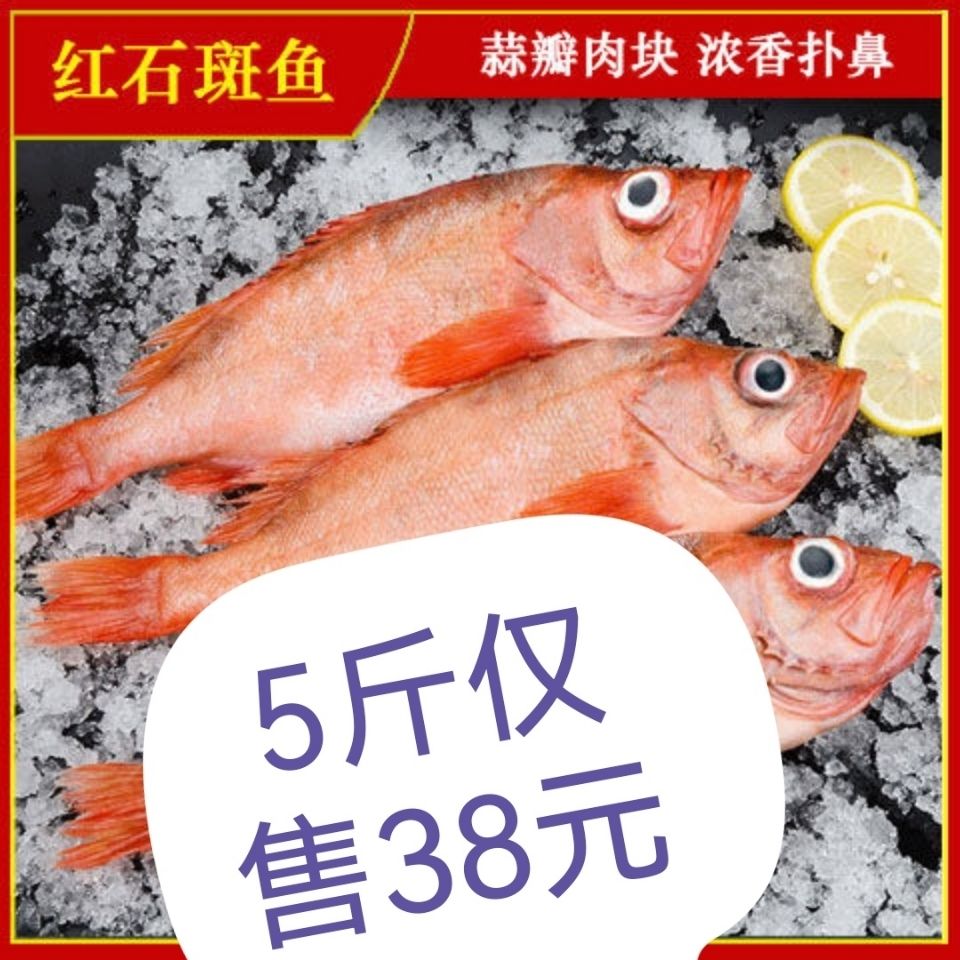 (特價)紅石斑魚整條速凍大眼魚富貴魚深海魚肉多刺少海鮮水產