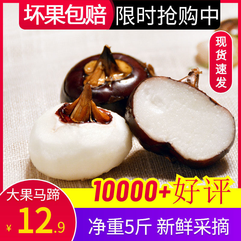 106428-特大果】广西特产新鲜现挖马蹄荸荠大果地梨即食荔浦农家水果批发-详情图