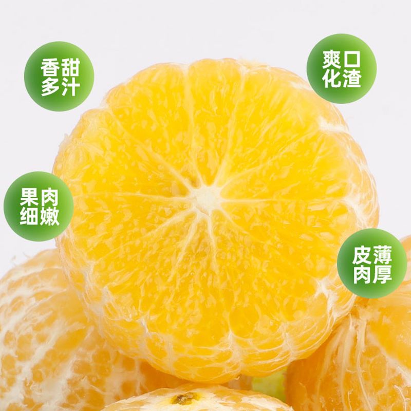105928-【新鲜超甜】广西武鸣皇帝柑正宗薄皮沃柑桔橘子应季水果批发包邮-详情图