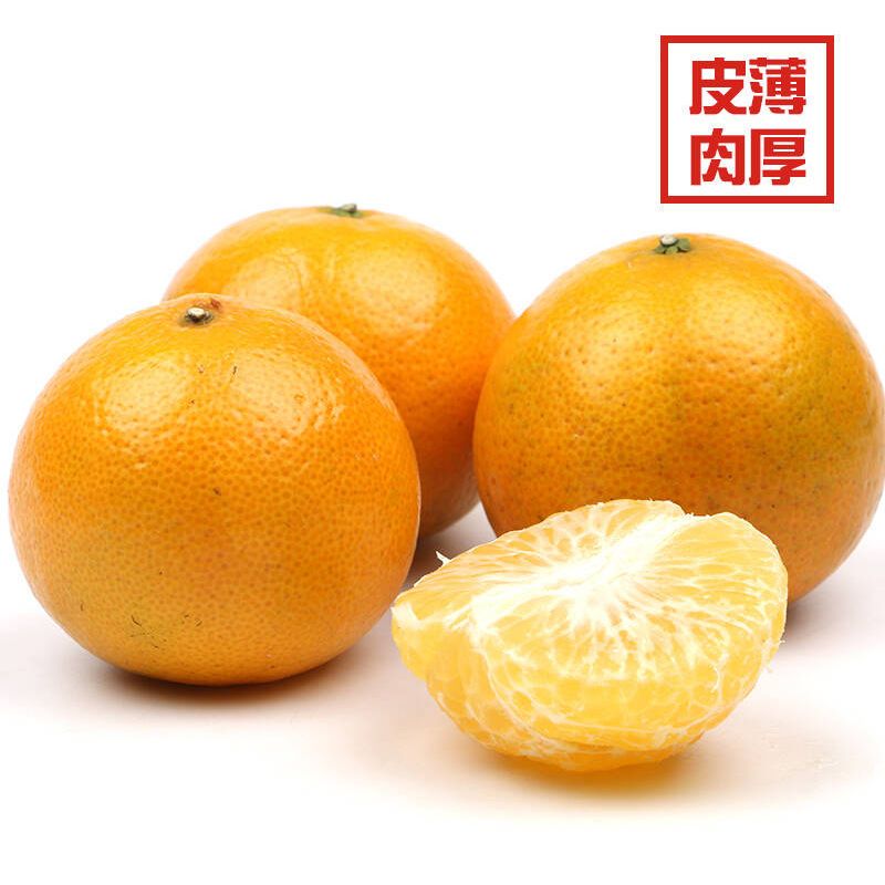 105928-【新鲜超甜】广西武鸣皇帝柑正宗薄皮沃柑桔橘子应季水果批发包邮-详情图