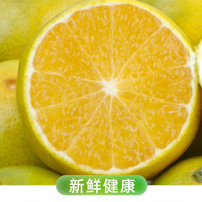 105928-【新鲜超甜】广西武鸣皇帝柑正宗薄皮沃柑桔橘子应季水果批发包邮-详情图