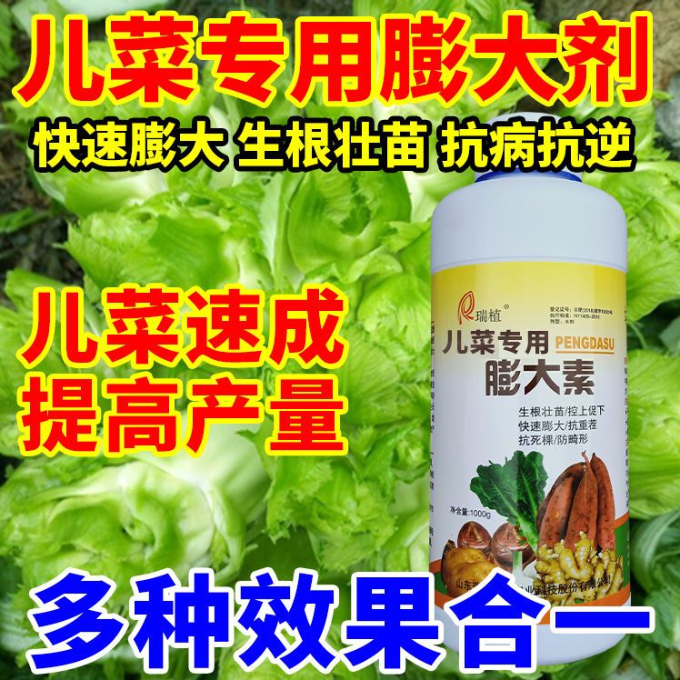 儿菜膨大剂儿菜专用有机肥增产膨大素控旺抗病防虫叶面肥农用包邮
