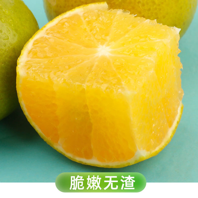 105928-【新鲜超甜】广西武鸣皇帝柑正宗薄皮沃柑桔橘子应季水果批发包邮-详情图