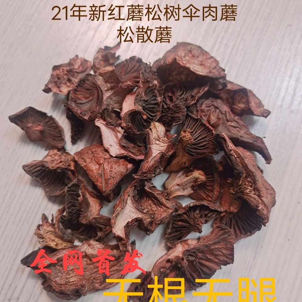 野生松树伞红蘑肉蘑炖鸡蘑菇承德特产松树伞松伞蘑干品食用菌