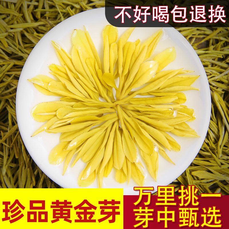 【黄金芽尝鲜】喻水黄茶2026新白茶高山绿茶新茶明前茶高档小包装
