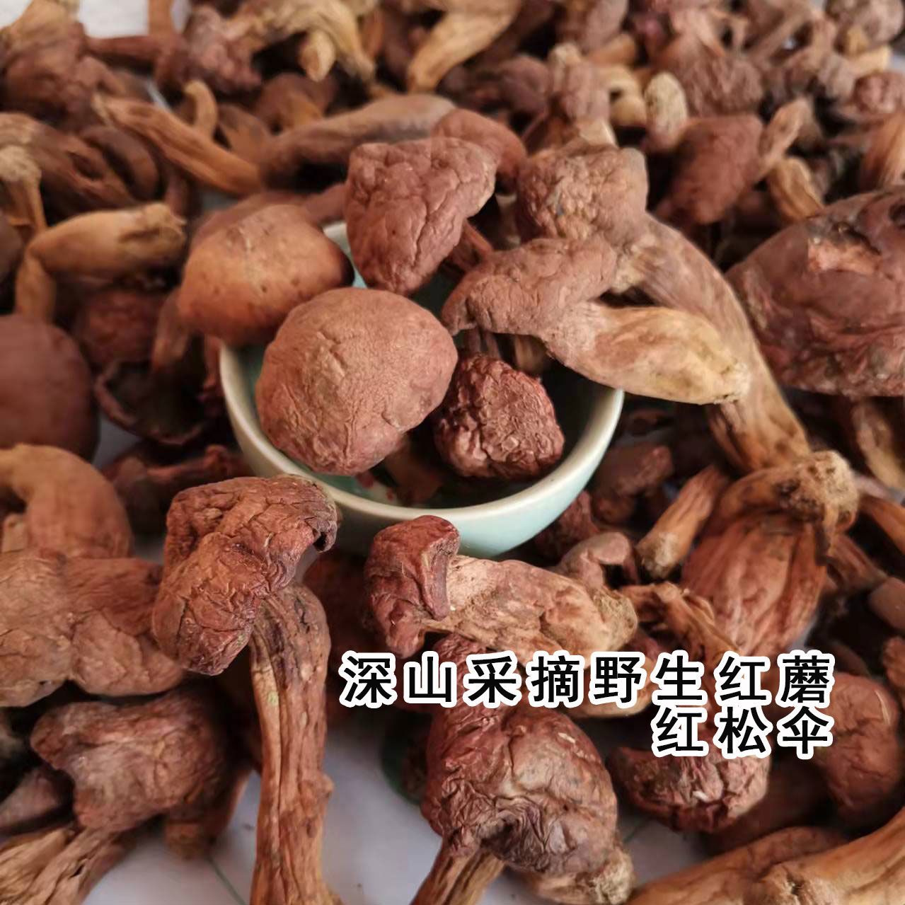 东北特产松树蘑菇 长白山红蘑菇 红松伞 肉蘑菇 蘑菇干货包邮