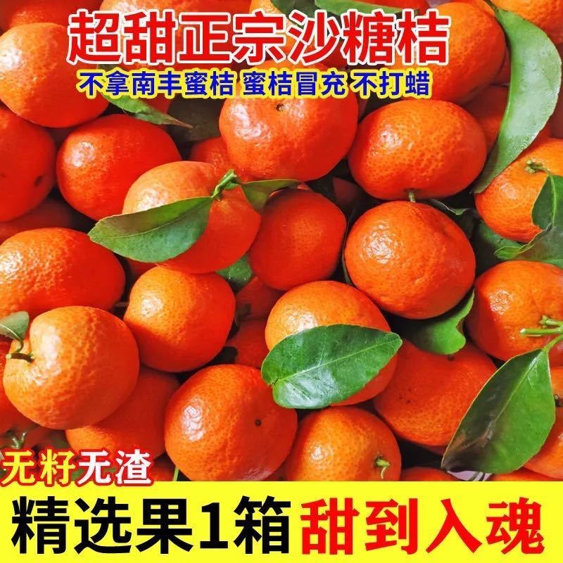 105970-【不打蜡】广西正宗砂糖橘新鲜砂糖桔水果小橘子超甜批发包邮-详情图