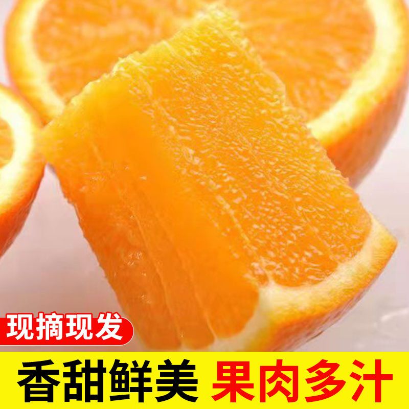 106003-正宗重庆奉节脐橙当季水果橙子薄皮纽荷尔伦晚新鲜水果批发包邮-详情图