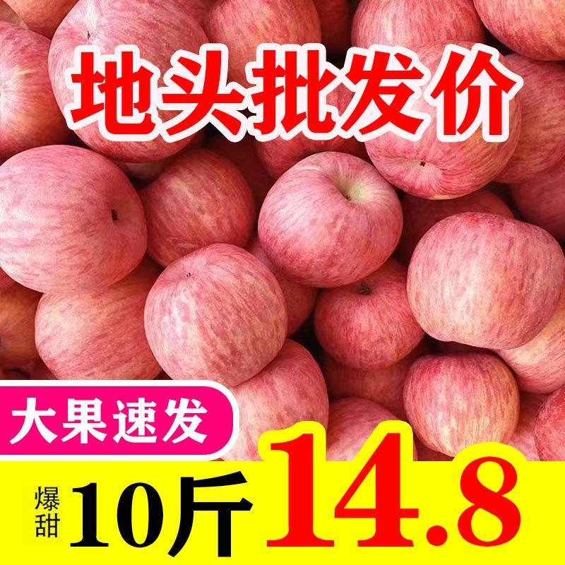 105944-新鲜陕西红富士苹果水果3/5/10斤包邮新鲜糖心丑苹果整箱苹果低价-详情图