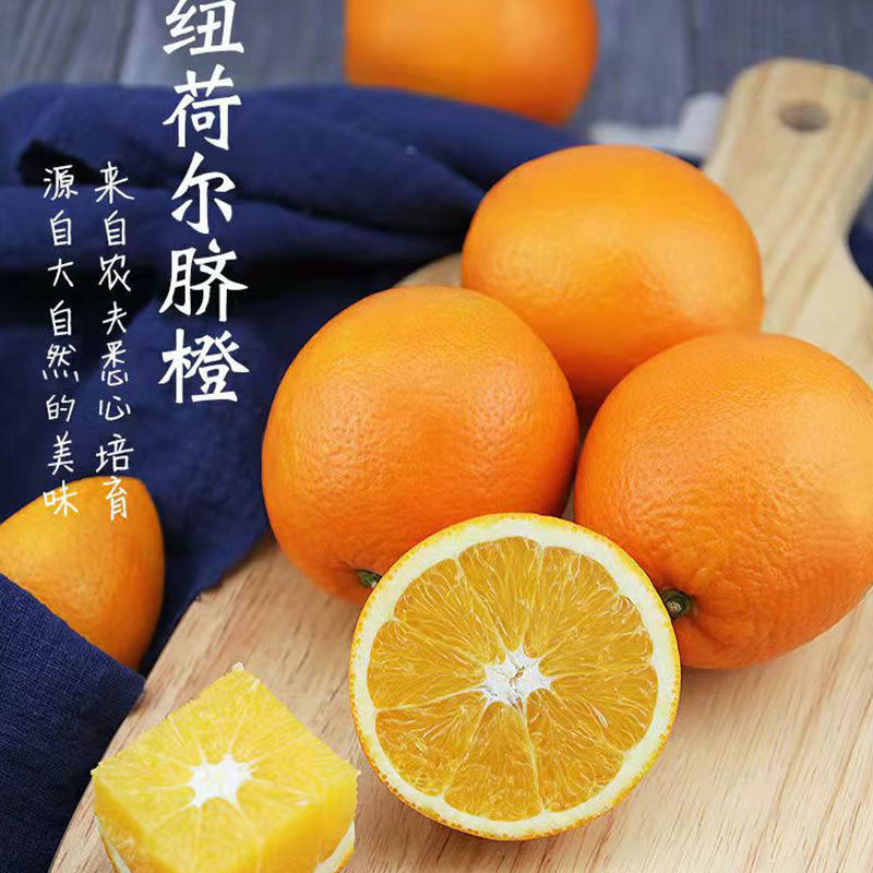 106003-正宗重庆奉节脐橙当季水果橙子薄皮纽荷尔伦晚新鲜水果批发包邮-详情图