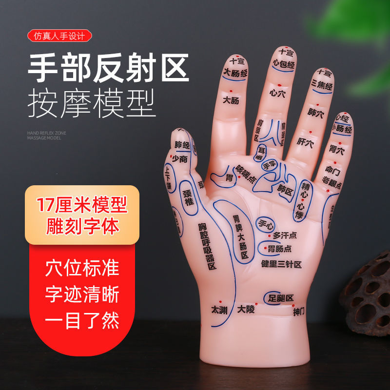 新款超清晰软质刻字版手部按摩反射区穴位模型手模左手掌背送手图