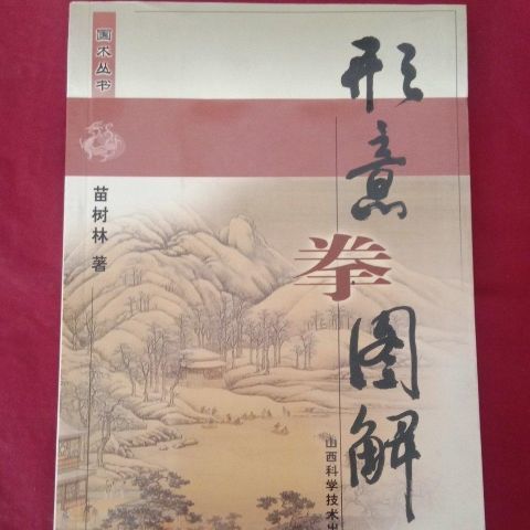 09 学习形意拳【2月15日发完】