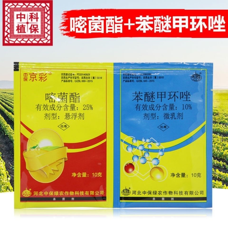 中保京彩 苯醚甲环唑嘧菌酯 炭疽病早疫病褐斑病农药杀菌剂