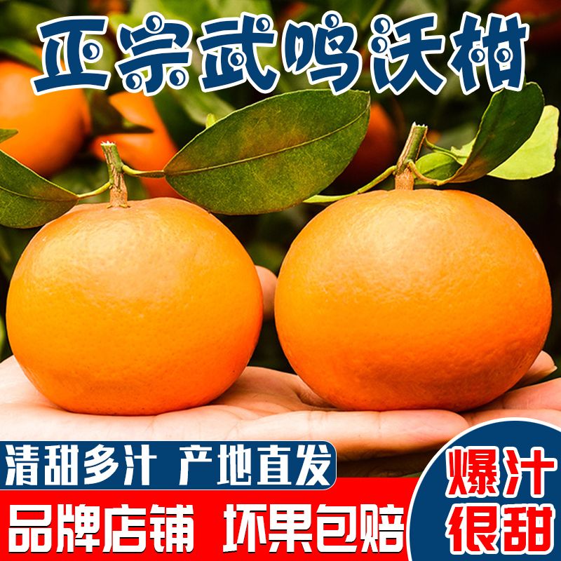 105792-【品牌礼盒】正宗广西武鸣沃柑礼盒橘子新鲜应季水果5/8.5斤装-详情图