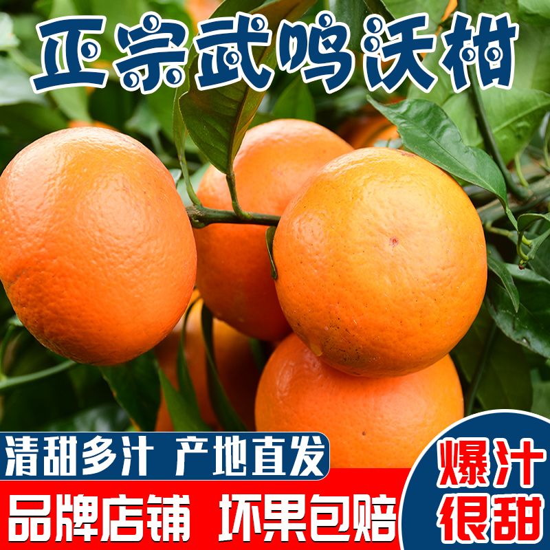 105792-【品牌礼盒】正宗广西武鸣沃柑礼盒橘子新鲜应季水果5/8.5斤装-详情图