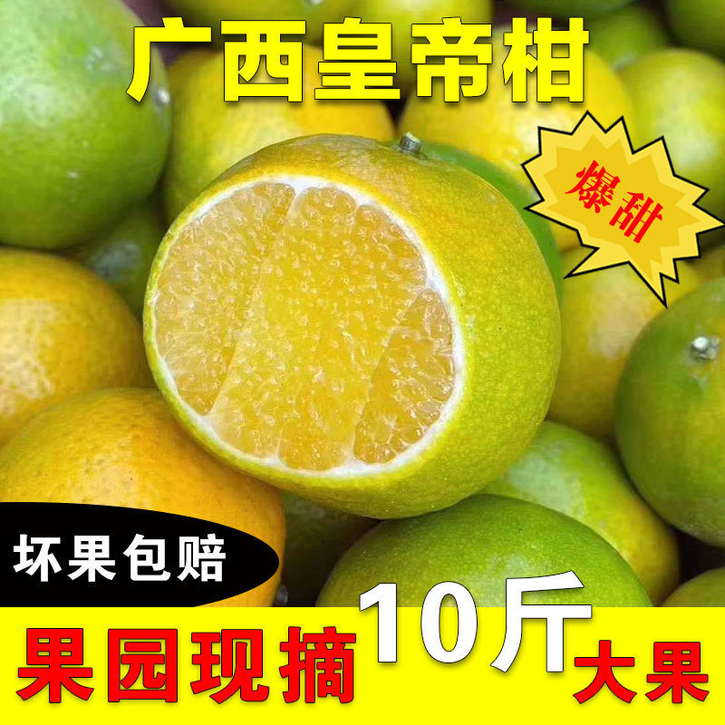 105928-【新鲜超甜】广西武鸣皇帝柑正宗薄皮沃柑桔橘子应季水果批发包邮-详情图