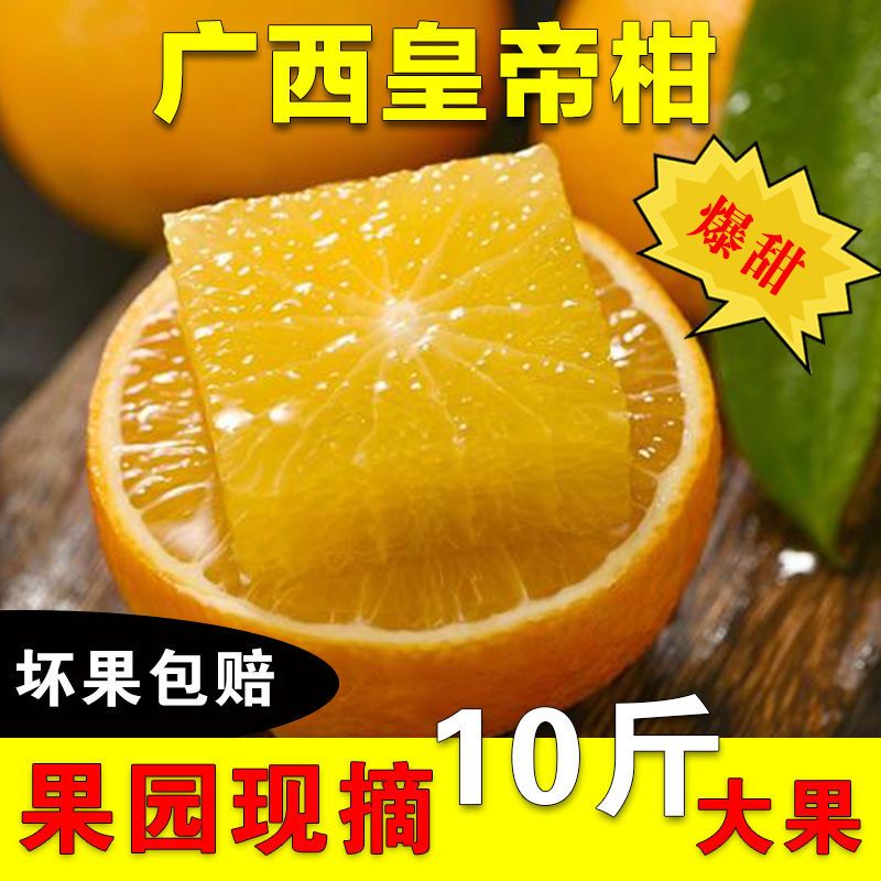 105928-【新鲜超甜】广西武鸣皇帝柑正宗薄皮沃柑桔橘子应季水果批发包邮-详情图
