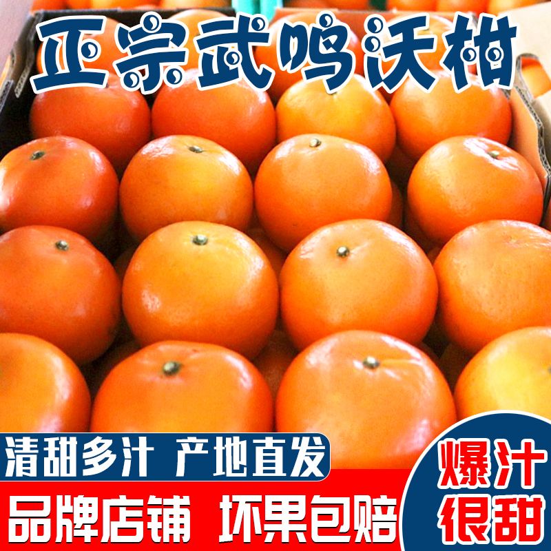 105792-【品牌礼盒】正宗广西武鸣沃柑礼盒橘子新鲜应季水果5/8.5斤装-详情图