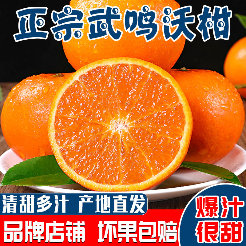 105792-【品牌礼盒】正宗广西武鸣沃柑礼盒橘子新鲜应季水果5/8.5斤装-详情图