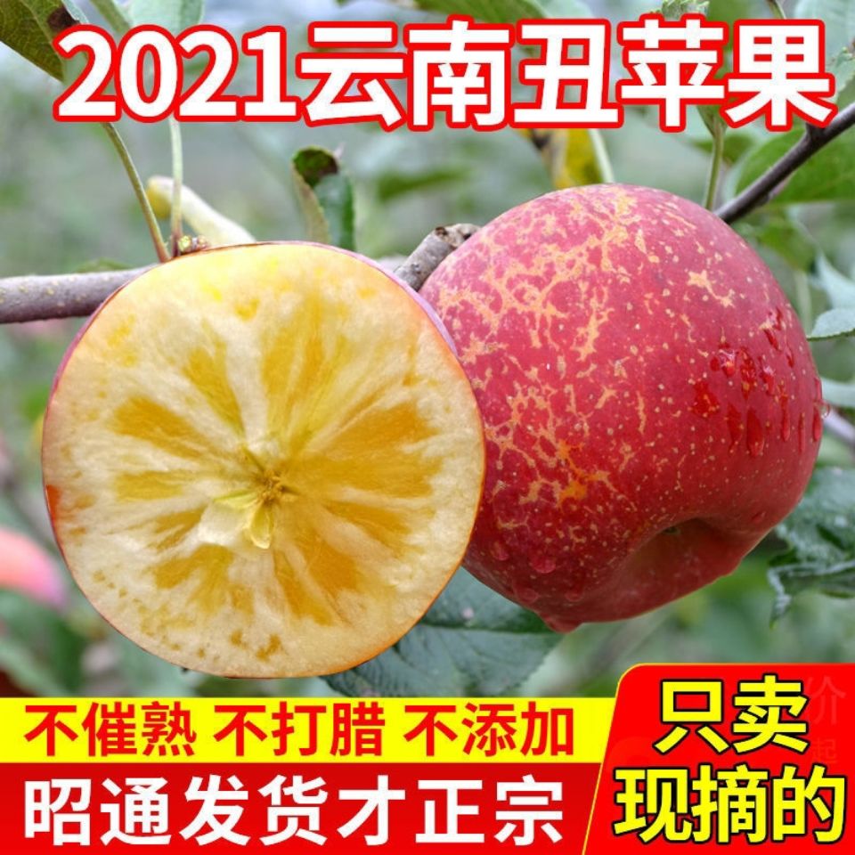 105953-云南正宗昭通丑苹果现摘冰糖心孕妇婴当季新鲜水果红富士批发脆甜-详情图