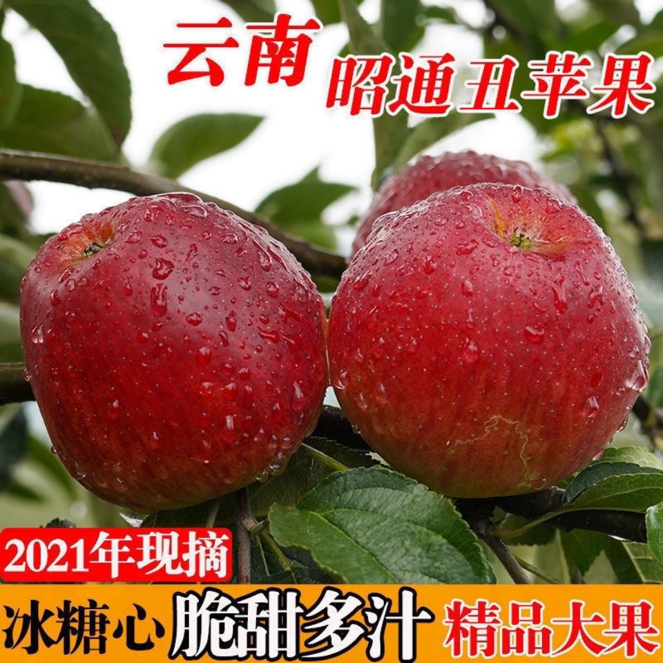 105953-云南正宗昭通丑苹果现摘冰糖心孕妇婴当季新鲜水果红富士批发脆甜-详情图