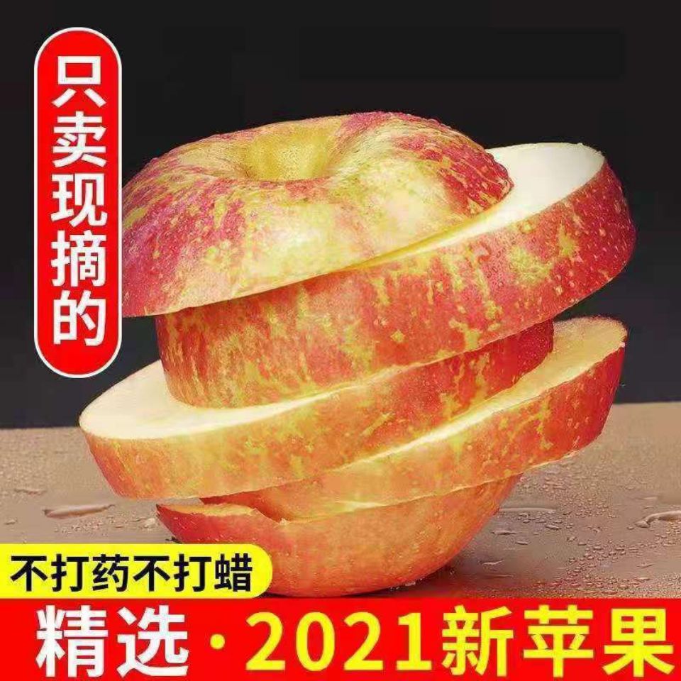 105953-云南正宗昭通丑苹果现摘冰糖心孕妇婴当季新鲜水果红富士批发脆甜-详情图