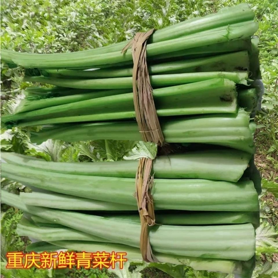 重庆农家自种青菜杆四川新鲜榨菜梗子青菜杆泡酸菜原材料5包邮