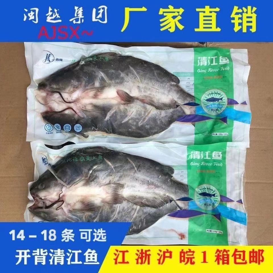 冷冻清江鱼 开背清江鮰鱼 叉尾鮰鱼 腌制鱼烤鱼烧烤专用32斤左右