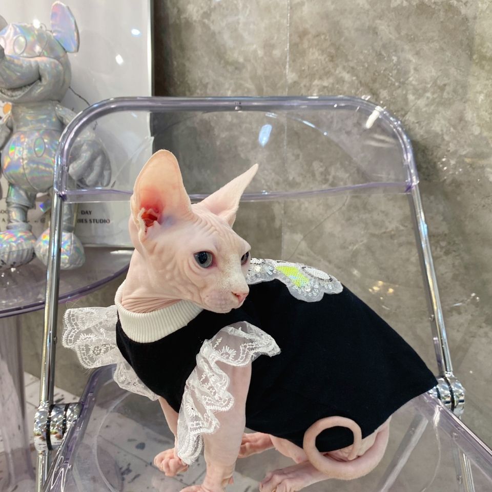 斯芬克斯无毛猫咪衣服洋气 秋冬季纯棉亮片熊加绒