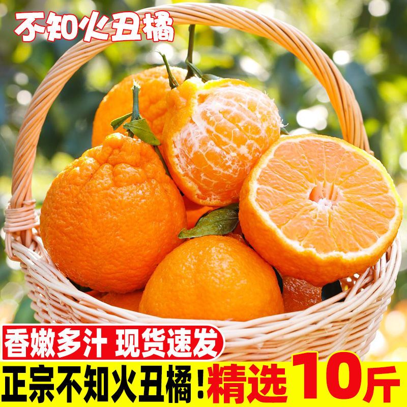 105776-现摘四川正宗不知火丑橘3/5/9斤丑八怪丑橘非耙耙柑蜜橘整箱包邮-详情图