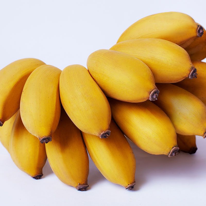 105897-广西小米蕉粉蕉banana新鲜水果3斤5斤蛋蕉非广东苹果蕉海南香蕉10-详情图