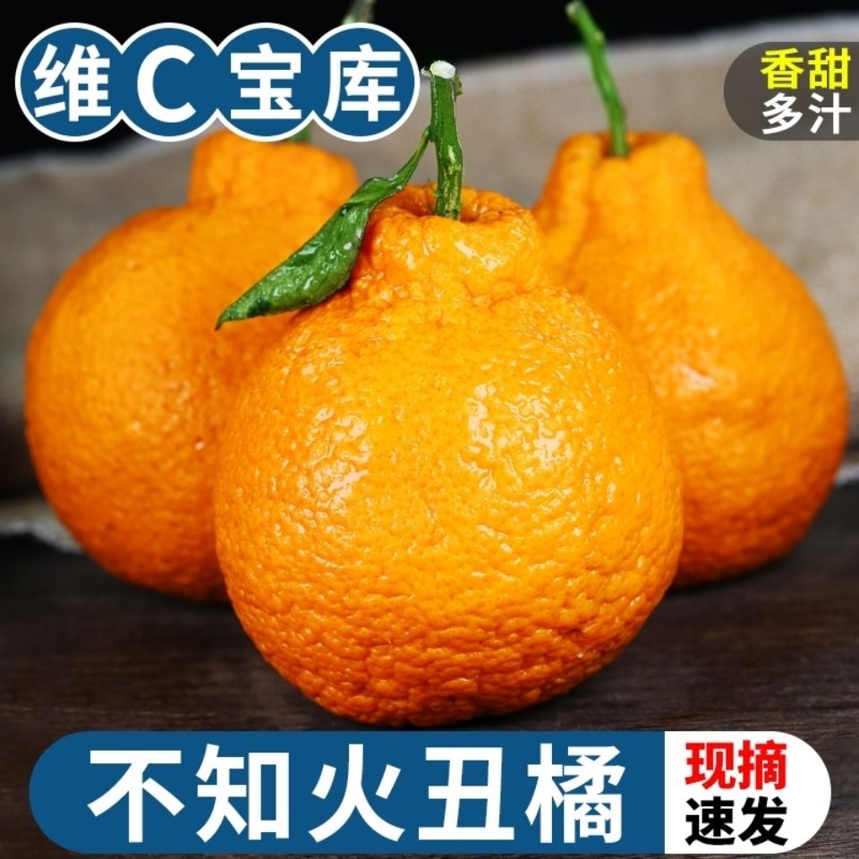 105776-现摘四川正宗不知火丑橘3/5/9斤丑八怪丑橘非耙耙柑蜜橘整箱包邮-详情图